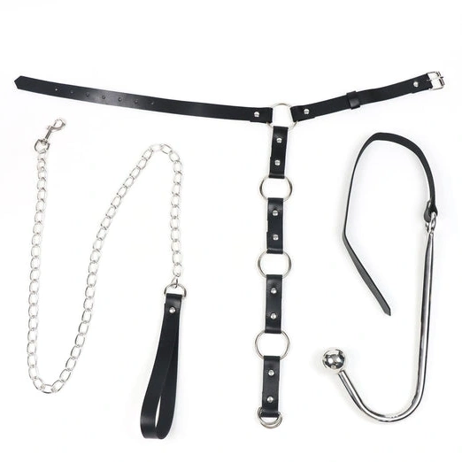 Anal Hooks with Kinky Leash Hook 5853 Anal Collar and EverydayUse 0918